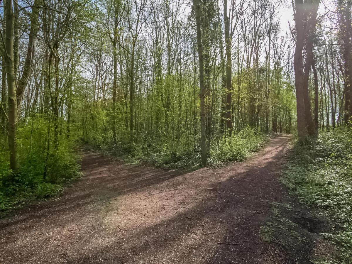 Holiday Home In Noordwijkerhout With Terrace Close To A Lake المظهر الخارجي الصورة